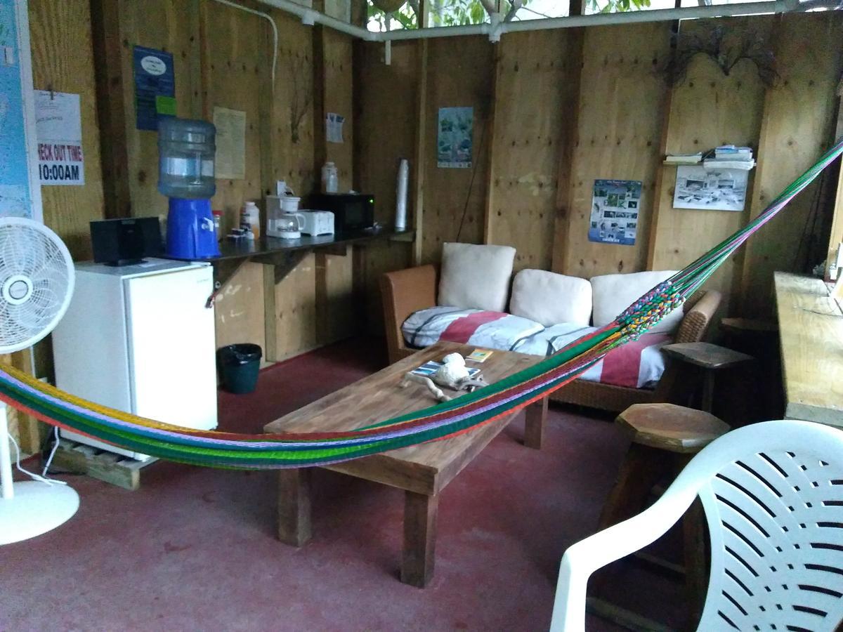 Placencia Hostel Ngoại thất bức ảnh